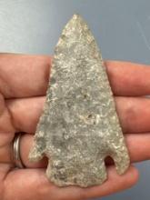 Superb 2 3/4" Castroville Point, THIN, Found in Greenwood Co., Kansas by Terry Miller