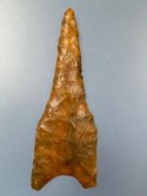 HIGHLIGHT 2 7/8" Plainview Drill, Paleo, Incredible Example, Found in Greenwood Co., KS Terry Miller