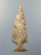1 3/8" Haskell Bird Point, Gem Quality, Found in Greenwood Co., Kansas by Terry Miller