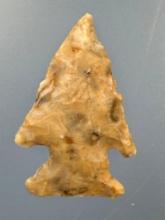 1" Corner Notch Bird Point, Found in Greenwood Co., Kansas by Terry Miller