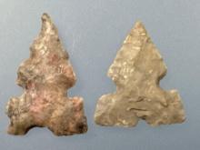 Pair of Harrell Tri-Notch Points, Longest is 3/4", Found in Greenwood Co., Kansas by Terry Miller