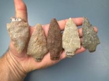 5 COLORFUL Quartzite Points, Found in Lancaster and Dauphin County, PA, Longest is 3 3/8"