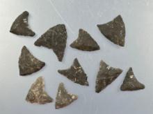 Lot of 10 Fine Triangles, Back Chert and Chalcedony, Longest is 1 1/8", Found in Warren Co., NJ,