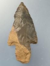 2 1/2" 2-Tone Hornstone Turkey Tail, KY/TN, Ex: Carole Collection, Former Indian Cavern