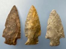 3 Fine Stemmed Points, Longest is 2 1/4", Found in Northeastern Kansas, Ex: Terry Miller