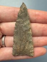 LARGE 2 1/2" Triangle Point, Found near Ortanna, Adams Co., Pennsylvania by Paul Fissel