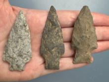 Lot of Nice Stemmed Points, Longest is 2 3/4", Found along the Lower Susquehanna River