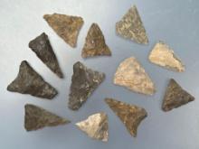 12 Various Triangle Points, Longest is 1 3/4", Found along the Lower Susquehanna River