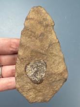4 3/4" Argillite Mansion Inn Blade, Found in Essex Co, Delaware, Likely Modern Rechipping for 1/2"
