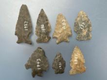 7 Various Arrowheads, Longest is 2 1/4", Found in Berks Co., Pennsylvania, Ex: Ted Knieriem