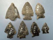 7 Smaller Chert Points, Longest is 1 5/8", Found in Berks Co., Pennsylvania, Ex: Ted Knieriem