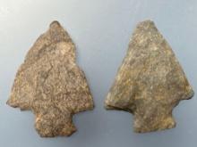Pair of Rhyolite Perkiomen Points, Longest is 2", Found in Berks Co., Pennsylvania, Ex: Ted Knieriem