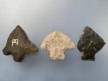 3 Various Perkiomen Points, Longest is 1 3/4", Found in Berks Co., Pennsylvania, Ex: Ted Knieriem