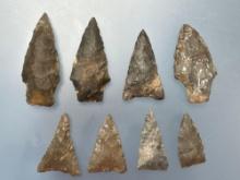 8 Various Arrowheads, Longest is 1 7/8", Found in Sunbury, PA, Ex: Ted Knieriem, Fred Myers