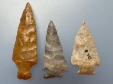 Lot of 3 FINE Points, Longest is 2 1/4", Found in Northeastern Kansas, Ex: Terry Miller