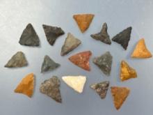 17 Fine Triangles, Jasper, Chert, Quarts, Longest 1", Found in Phillipsburg, New Jersey,