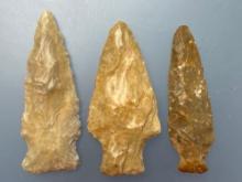 3 Nice Stemmed Arrowheads, Longest is 2 3/4", Found in Ponca City, Kay Co., Oklahoma