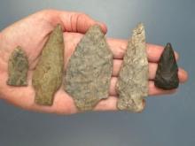 5 Rhyolite Points, Longest is 2 7/8", Found near Ortanna, Adams Co., Pennsylvania by Paul Fissel