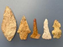 5 Points, Mostly Stillwell, Found in Missouri, Longest is 2 3/4", Ex: Gerau Collection