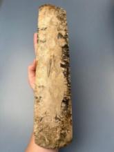 HUGE 12 3/4" Flint Danish Flaked Celt, Great Example, Polish Noted