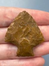 Lot of 3 Megalodon, Longest is 4 3/4", Root Deteriation