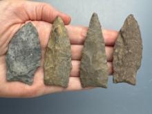 4 Fine Fox Creek Arrowheads, Found in Maryland, Rhyolite, Argillite and Chert, Longest is 2 7/8"