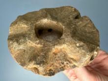 HIGHLIGHT 4 3/4" Diameter Steatite "Council Pipe" Multiple Reeds w/1 Bowl, Found in North Carolina