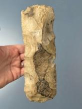 LARGE 8 1/8" Flint Spade, Hoe, Found in Pope Co., Arkansas