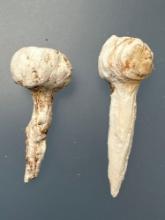 Pair of Fine 2" Shell Ear Pins, Mississippian, Found in Hamilton Co., Tennessee