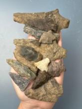 14 Arrowheads, Longest is 4 1/2", Found by J. Fissel in Orrtanna, Pennsylvania