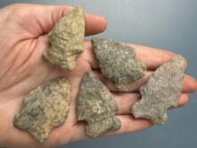 x4 Adams Co., Bifurcate and Related Points, Rhyolite, Found by J. Fissel in Orrtanna, Pennsylvania