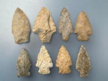 8 Various Arrowheads, Longest is 2 5/8", Found along the Lower Susquehanna River in Pennsylvania