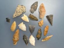 17 Various Arrowhead, Nice Examples, Found on a Farm in Pocomoke, Maryland, Ex: Vandergrift