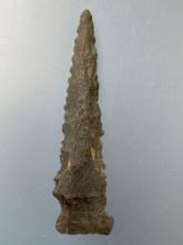 2 3/16" Serrated Side Notch Point, Found in North Carolina