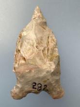 1 7/8" Rare Greenbriar Point w/Graver Tip, Found in Tennessee
