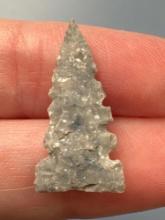 WOW 15/16" Multi-Notched Point, Found in Leavenworth Co., Kansas by Terry Miller