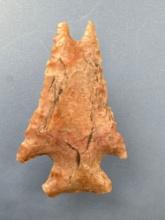 HIGHLIGHT 13/16" BIFURCATED TIP Point, RARE, Found in Leavenworth Co., Kansas by Terry Miller