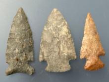 IMPRESSIVE Lot of 3 Points, Longest is 1 5/8", Found in Greenwood Co., Kansas by Terry Miller