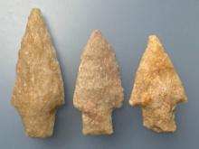 3 Fine Stemmed Quartzite Points, Longest is 2 9/16", Found along Lower Susquehanna River in PA
