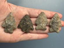 4 Impressive Bifurcate Points, Longest is 1 3/4", Found by J. Fissel in Orrtanna, Pennsylvania