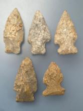 5 Various Rhyolite Points, x1 Ex: Wallace (Long Level) Others Found by J. Fissel in Orrtanna