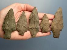 5 Various Points, Longest is 3 1/2", Found by J. Fissel in Orrtanna, Pennsylvania