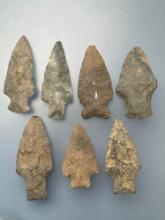 7 Various Arrowheads, Nice examples, Longest is 2 1/2", Found along the Lower Susquehanna River