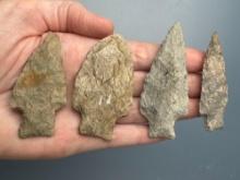 x4 Rhyolite Stemmed Points, Longest is 2 7/8", Found along the Lower Susquehanna River