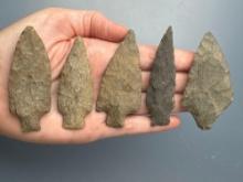 5 Archaic Stem Points, Nice, Longest is 2 7/8", Found along the Lower Susquehanna River