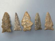 5 Side Notch and Bifurcate Points, Longest is 1 7/8", Found by J. Fissel, Orrtanna, Pennsylvania