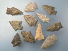 11 Various Points, x1 Lycoming Co., PA, Longest is 2 1/4", Others found by J. Fissel, Orrtanna