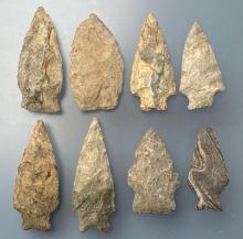 8 NICE Rhyolite Points, Longest is 2 3/4", Found by J. Fissel, Orrtanna, Pennsylvania
