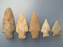 5 Fine Quartzite Points, Longest is 3 5/8", Found in Lancaster and Berks Co., Pennsylvania
