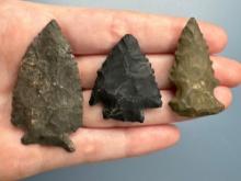 3 Fine Serrated Chert Points, Longest is 2 1/8", Found in Lancaster and Berks Co.,